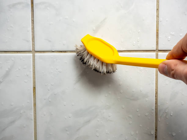  Choudrant, LA Mold Removal Pros
