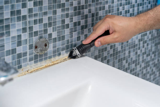 Home Mold Removal in Choudrant, LA