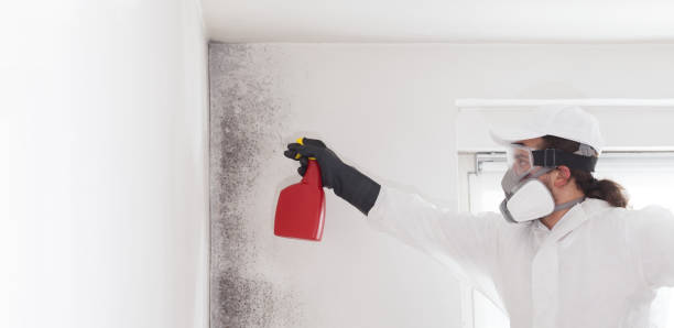 Choudrant, LA Mold Removal Company
