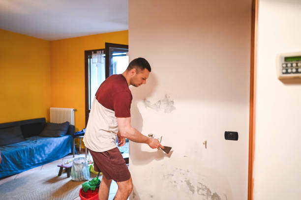 Best Mold Removal Company Near Me  in Choudrant, LA