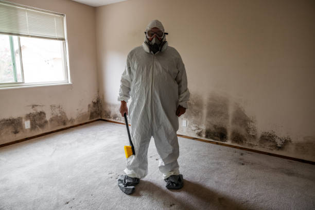 Best Residential Mold Removal  in Choudrant, LA