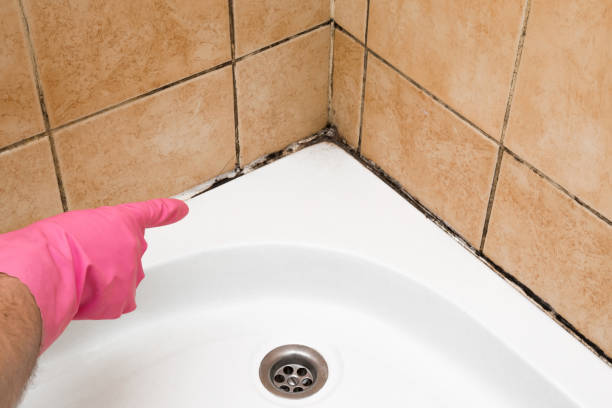 Best Water Damage Restoration  in Choudrant, LA